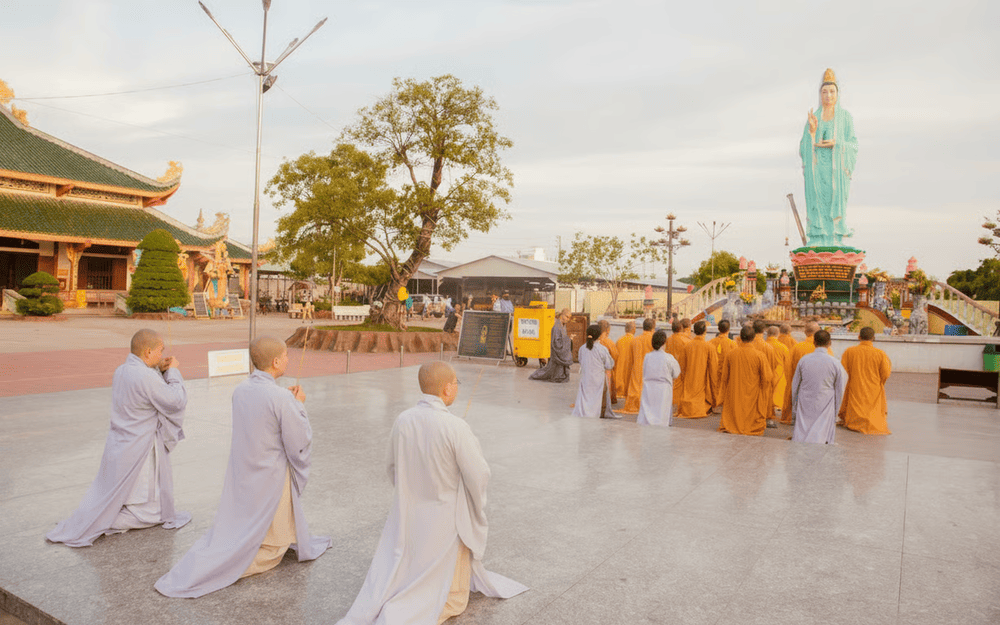 Nhiều hoạt động tâm linh, tu học, thuyết phát được cử hành thường xuyên tại Quan Âm Phật Đài Bạc Liêu